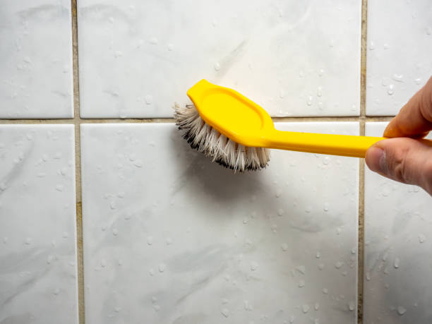 Best Fast Mold Removal  in Woodward, OK