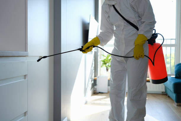 Best Mold Cleaning Services  in Woodward, OK