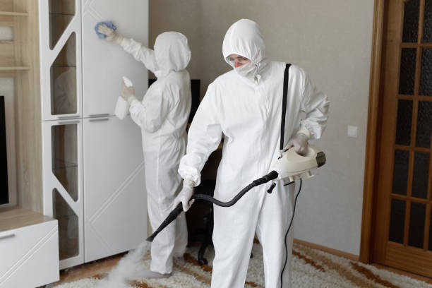 Best Crawl Space Mold Removal  in Woodward, OK