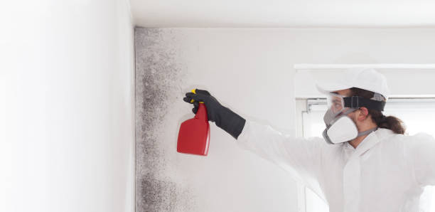 Best Certified Mold Removal  in Woodward, OK